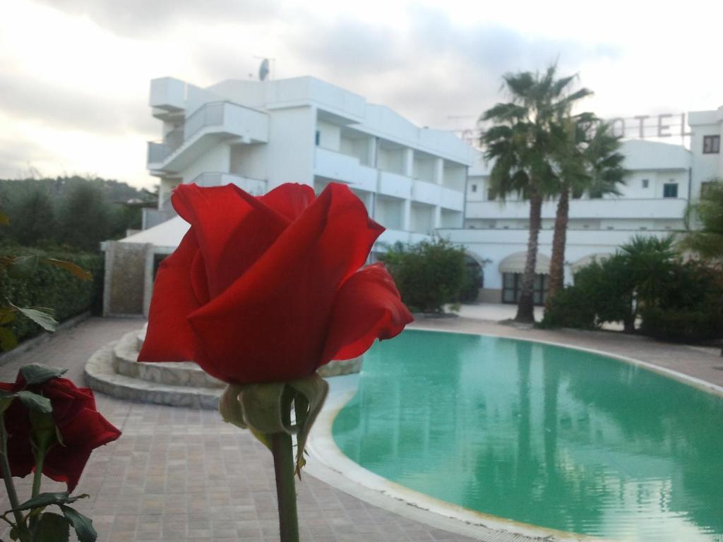 Hotel Magnolia Vieste Buitenkant foto